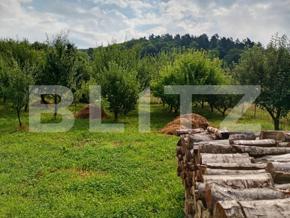Casa de vânzare 3 camere Marcus - 199621CV | BLITZ Sfântu Gheorghe | Poza2