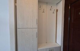 Garsoniera luminoasa cu bucatarie mobilata, renovata, zona Simeria