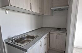 Garsoniera luminoasa cu bucatarie mobilata, renovata, zona Simeria