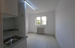 Garsoniera luminoasa cu bucatarie mobilata, renovata, zona Simeria