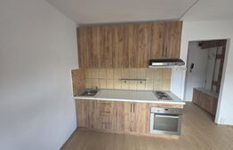 Garsoniera moderna recent renovata