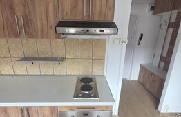 Garsoniera moderna recent renovata