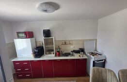 Casa noua cu terasa generoasa si teren, comuna Moacsa