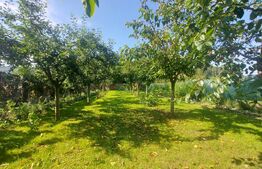 Vila cu teren intravilan, 4.400 mp, Valcele