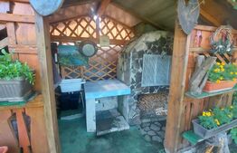 Vila cu teren intravilan, 4.400 mp, Valcele