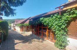 Vila cu teren intravilan, 4.400 mp, Valcele