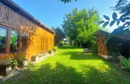 Vila cu teren intravilan, 4.400 mp, Valcele