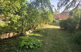 Casă tradițională din lemn – refugiul perfect într-o oază de liniște