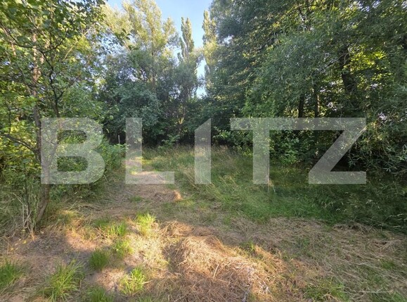 Casa de vânzare 3 camere Bita - 201176CV | BLITZ Sfântu Gheorghe | Poza15