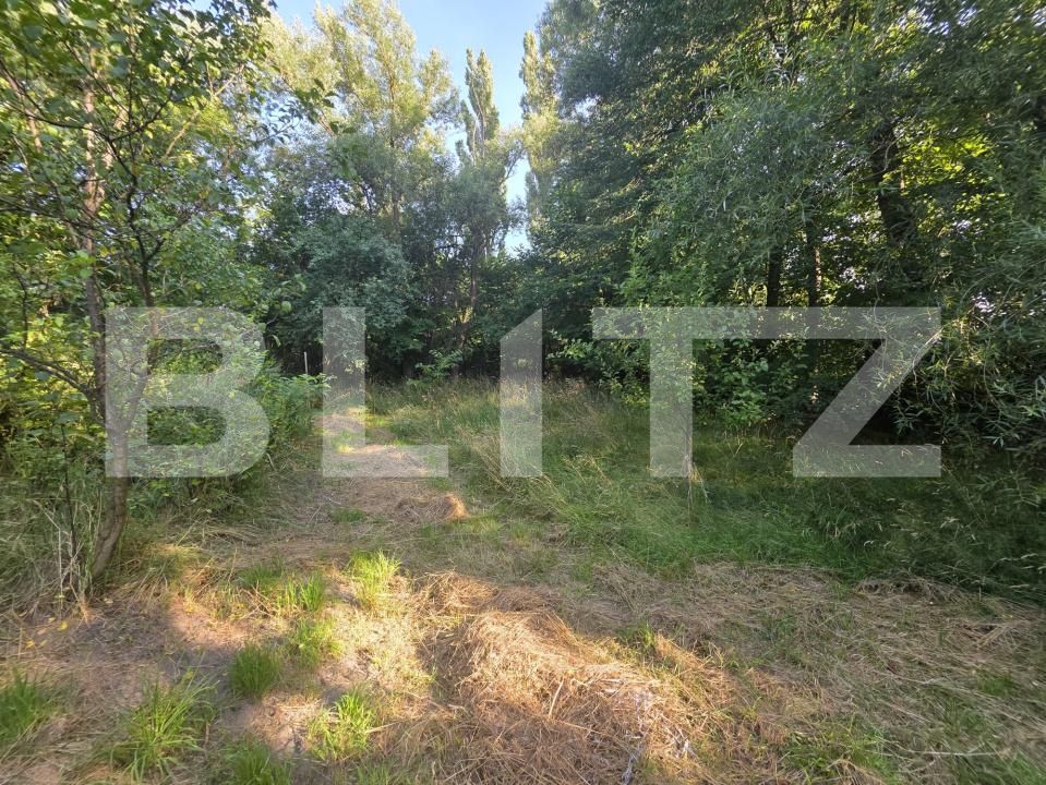 Casa de vânzare 3 camere Bita - 201176CV | BLITZ Sfântu Gheorghe | Poza15