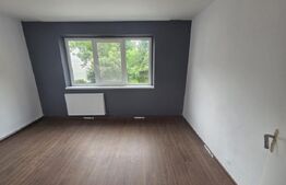 Apartament luminos cu 3 camere
