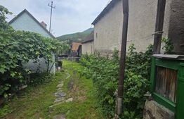 Casa taraneasca de lemn cu veranda