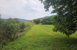 Casa taraneasca de lemn cu veranda