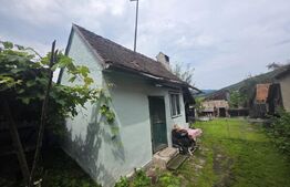 Casa taraneasca de lemn cu veranda