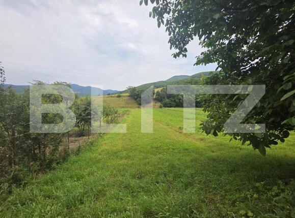 Casa de vânzare 2 camere Bixad - 201551CV | BLITZ Sfântu Gheorghe | Poza11