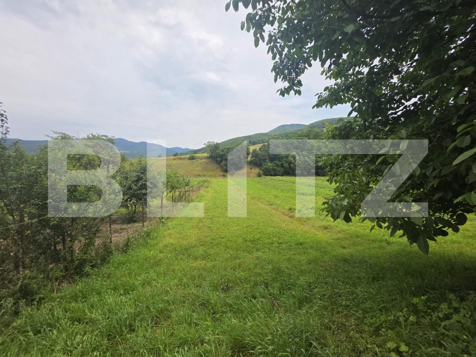 Casa de vânzare 2 camere Bixad - 201551CV | BLITZ Sfântu Gheorghe | Poza11