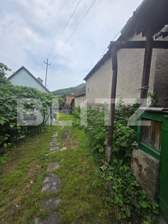 Casa de vânzare 2 camere Bixad - 201551CV | BLITZ Sfântu Gheorghe | Poza4