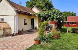 Casa moderna in inima orasului Sfantu Gheorghe