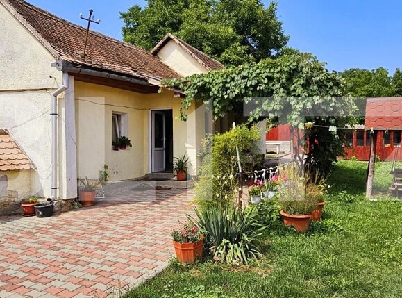 Casa de vânzare 7 camere Central - 201563CV | BLITZ Sfântu Gheorghe | Poza16
