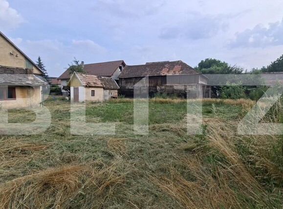 Casa de închiriat 2 camere Central - 202308CI | BLITZ Sfântu Gheorghe | Poza6