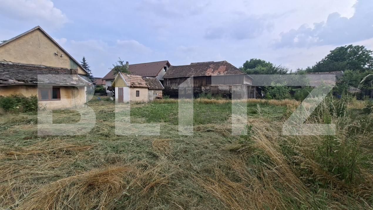 Casa de închiriat 2 camere Central - 202308CI | BLITZ Sfântu Gheorghe | Poza6