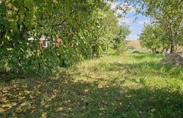 Teren extravilan de vanzare, 4000 mp, zona Simeria