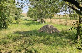 Teren extravilan de vanzare, 4000 mp, zona Simeria