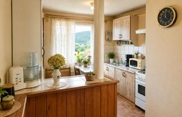 Apartament 3 camere de vanzare, 66 mp, zona Simeria