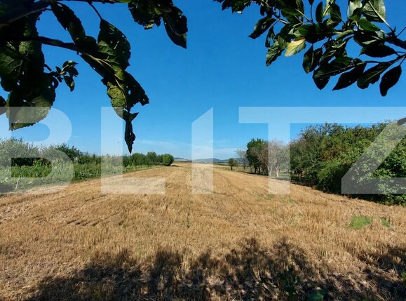 Casa de vânzare 3 camere Chichis - 203465CV | BLITZ Sfântu Gheorghe | Poza18