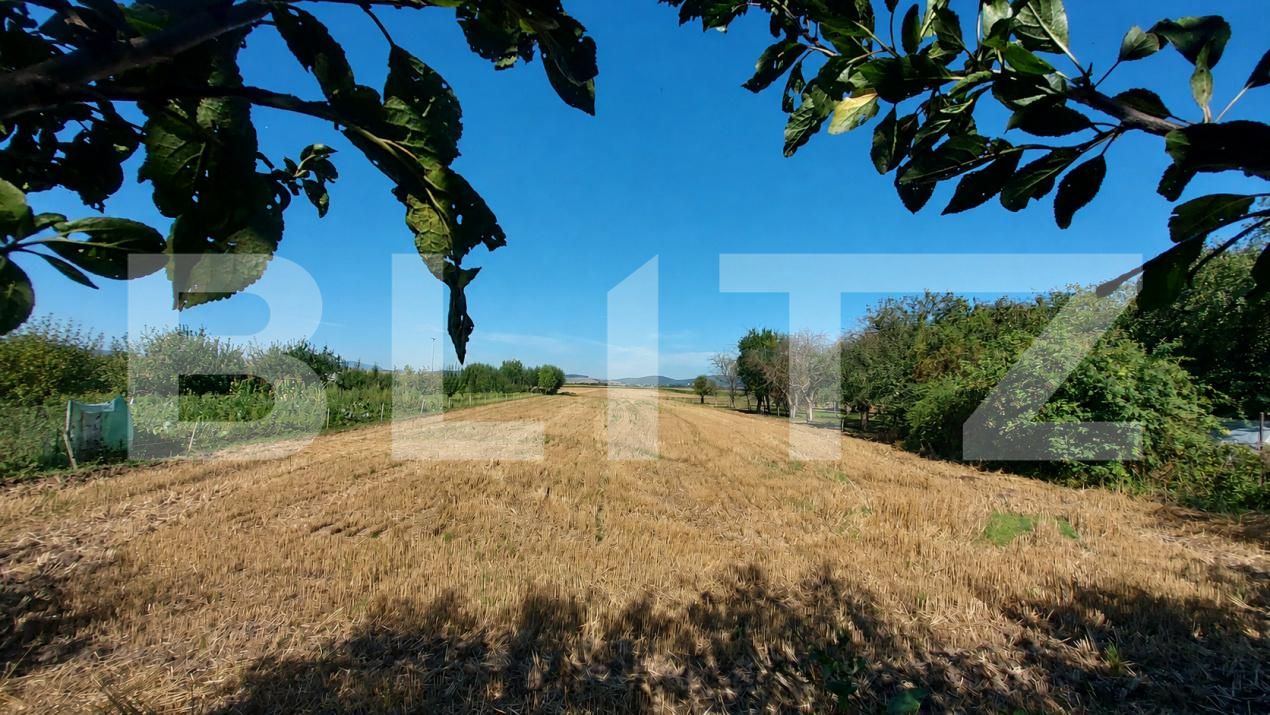 Casa de vânzare 3 camere Chichis - 203465CV | BLITZ Sfântu Gheorghe | Poza18