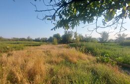 Casa de vanzare, 80 mp, teren 1782 mp, zona Belin
