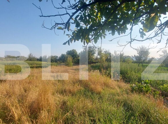 Casa de vânzare 3 camere Belin - 203967CV | BLITZ Sfântu Gheorghe | Poza13