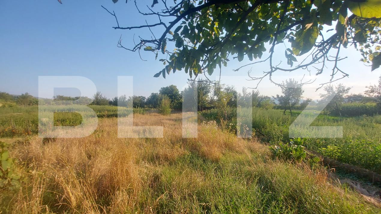Casa de vânzare 3 camere Belin - 203967CV | BLITZ Sfântu Gheorghe | Poza13