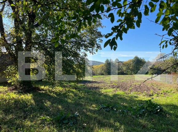 Casa de vânzare 2 camere Moacsa - 204115CV | BLITZ Sfântu Gheorghe | Poza10