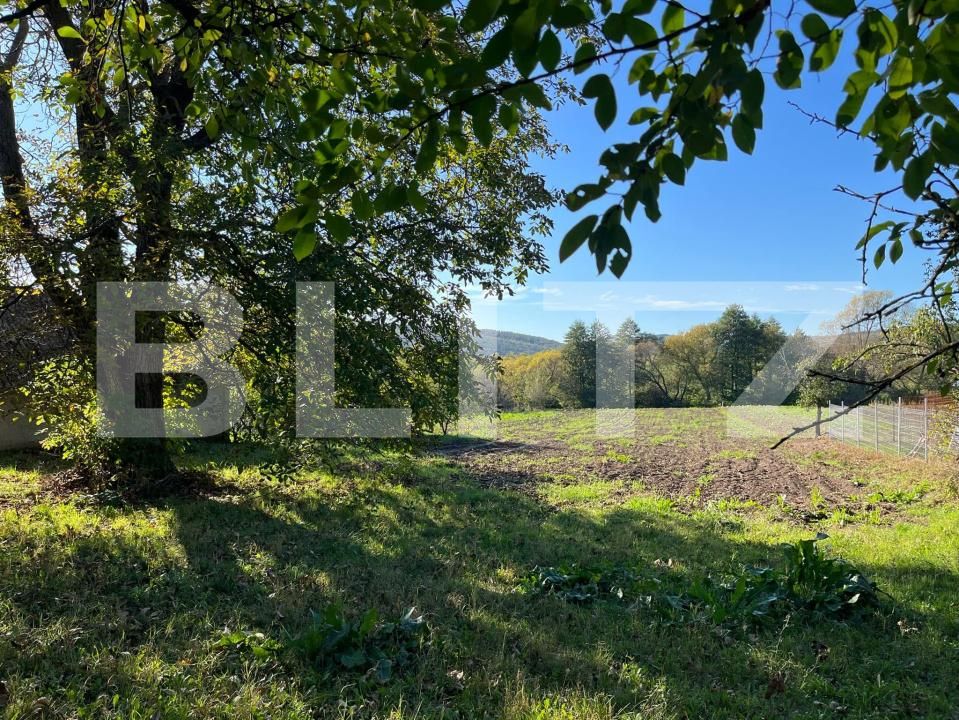 Casa de vânzare 2 camere Moacsa - 204115CV | BLITZ Sfântu Gheorghe | Poza10