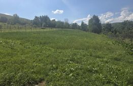Casa de caramida, 3 camere, teren 1.208 mp, satul Micfalau