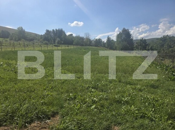 Casa de vânzare 3 camere Micfalau - 204576CV | BLITZ Sfântu Gheorghe | Poza14