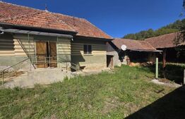 Casa individuala, teren intravilan 3409 mp, zona Dalnic.