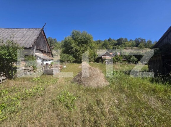 Casa de vânzare 2 camere Dalnic - 205293CV | BLITZ Sfântu Gheorghe | Poza14