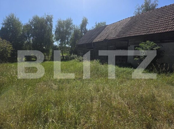 Casa de vânzare 2 camere Dalnic - 205293CV | BLITZ Sfântu Gheorghe | Poza13