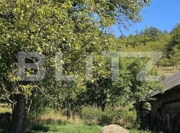 Casa de vânzare 2 camere Dalnic - 205293CV | BLITZ Sfântu Gheorghe | Poza15