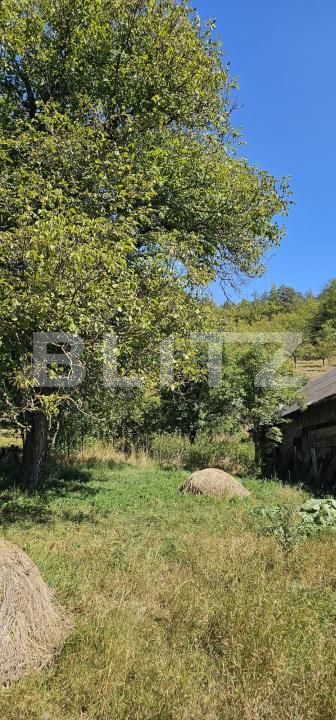 Casa de vânzare 2 camere Dalnic - 205293CV | BLITZ Sfântu Gheorghe | Poza15