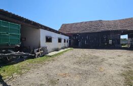 Casa cu anexe, teren 1.145 mp, de vânzare, zona Ozun