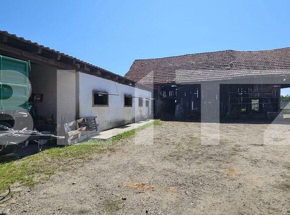 Casa de vânzare 4 camere Ozun - 205360CV | BLITZ Sfântu Gheorghe | Poza9