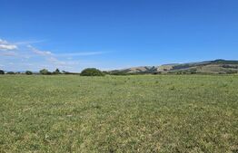 Teren agricol, 7 hectare, zona Ozun