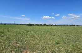 Teren agricol, 7 hectare, zona Ozun