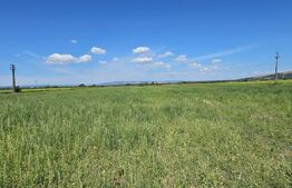 Teren agricol, 7 hectare, zona Ozun