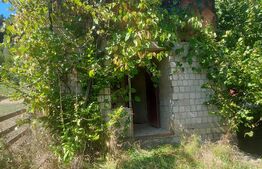 Teren intravilan 1.600 mp + constructie I Natura si liniste I Sita Buzaului