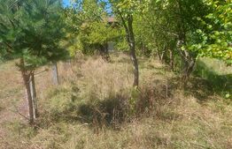 Teren intravilan 1.600 mp + constructie I Natura si liniste I Sita Buzaului
