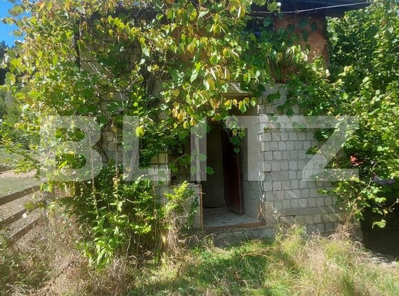 Casa de vânzare 2 camere Sita Buzaului - 205692CV | BLITZ Sfântu Gheorghe | Poza10